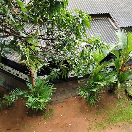 Green Bamboo House Sigiriya Exterior photo